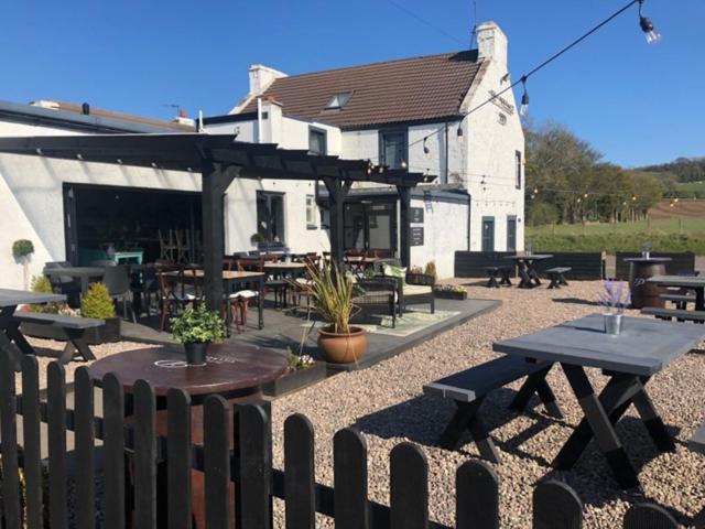 Pitlessie Inn And Pantry Cupar Exteriör bild